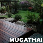 บ้านและสวน การตกแต่งจัดสวนให้สวยงาม